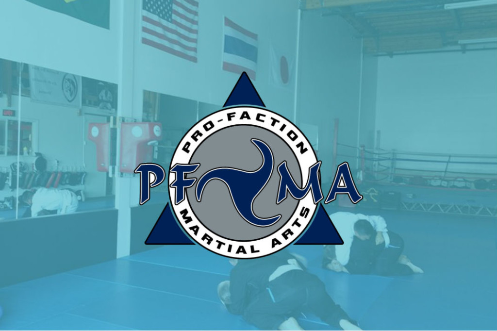 Pro-Faction Martial Arts & Fitness - Photo 2