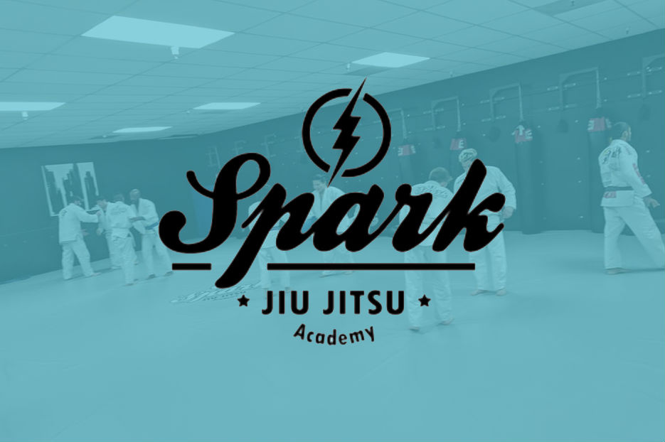Spark Martial Arts - Photo 2